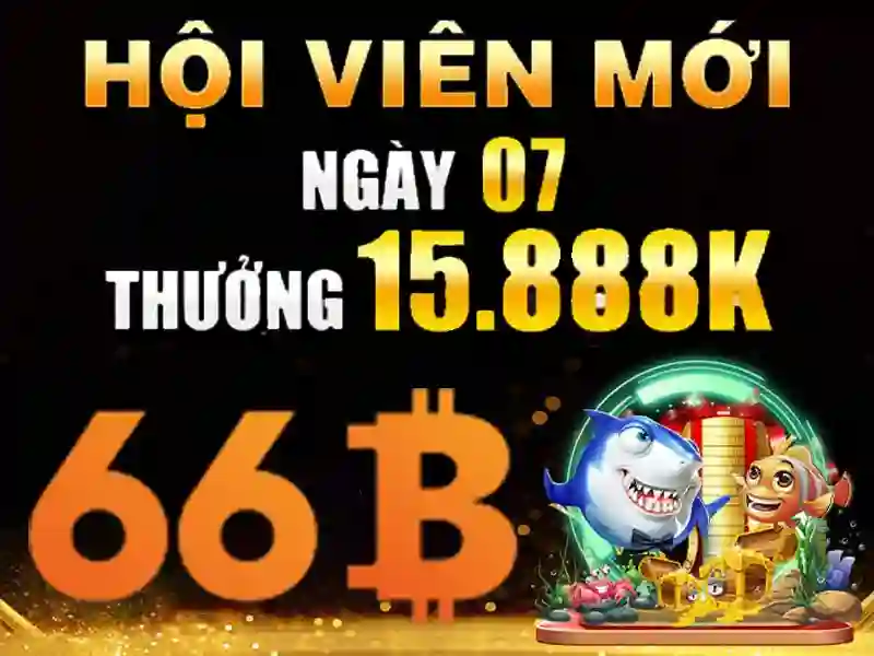 Bao mat thong tin va ho tro ky thuat tai 66b