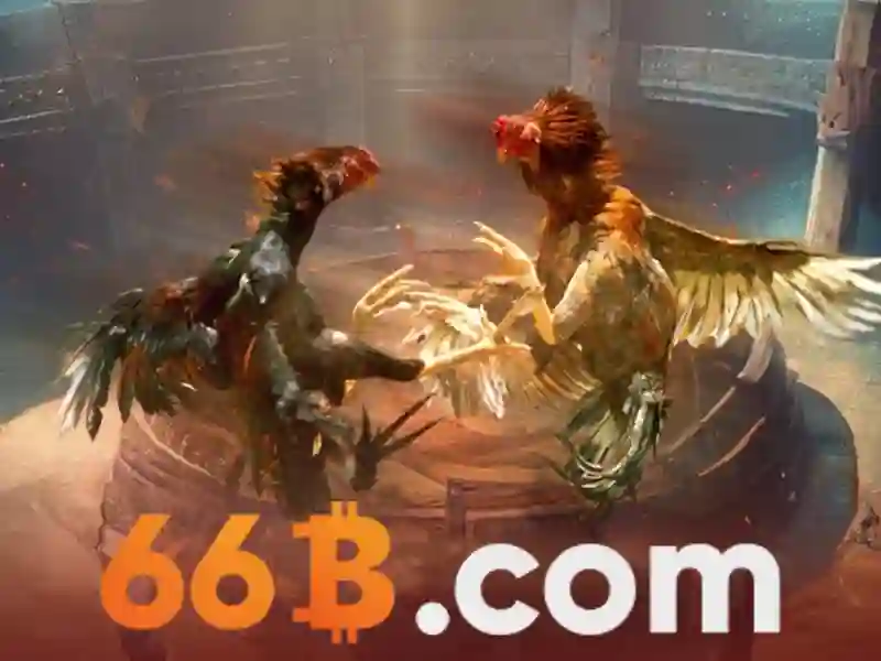 66B: Khái niệm, nguồn gốc và cách hiểu