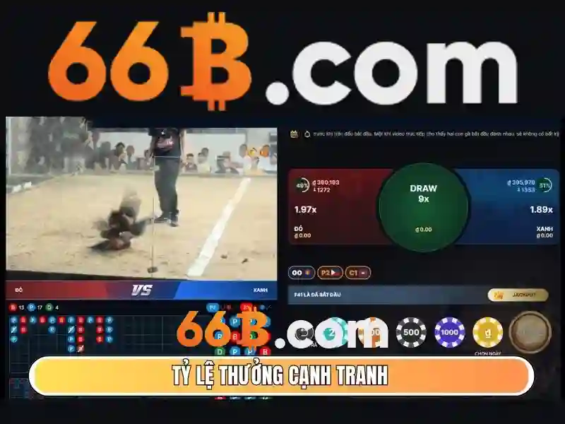 Banner tong hop khuyen mai 66b moi nhat hien nay