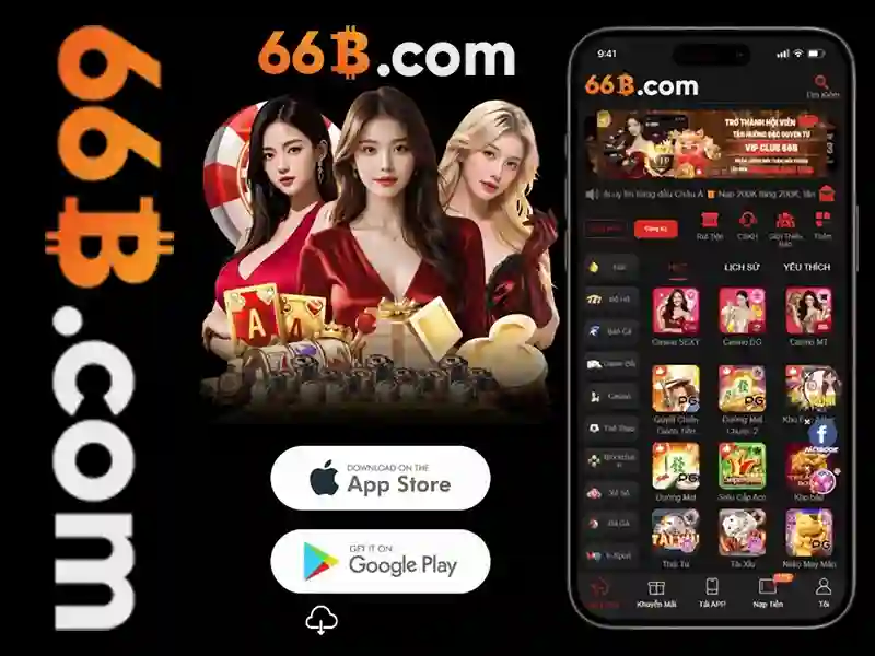 66b nguyễn sỹ sách, p15, quận tân bình – Tổng quan