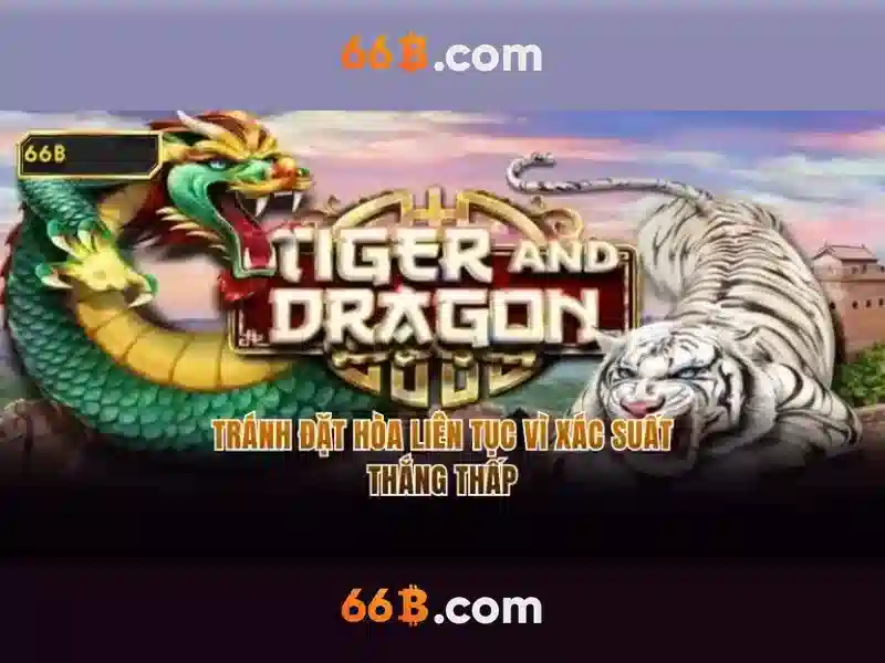 66b là gì? Khám phá khái niệm và ứng dụng