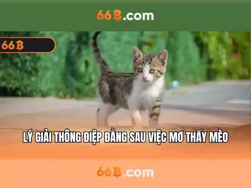 hornsgatan 66b: Trải nghiệm và định vị thương hiệu