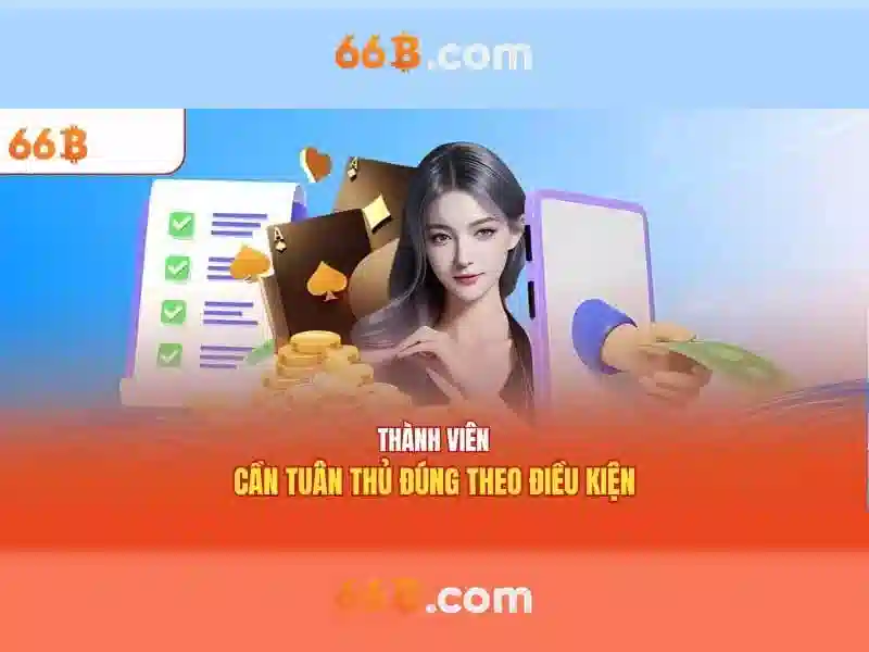Nhập code 66b: Hành trình công nghệ và trải nghiệm