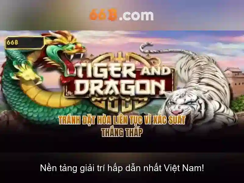 66b chính thức – Hành trình thương hiệu và ứng dụng