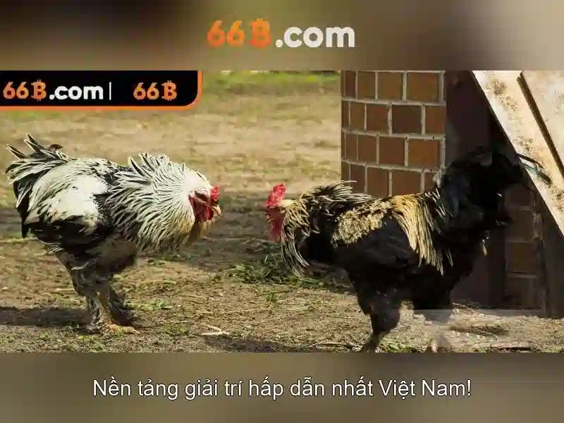Về 66b: một mô hình ngôn ngữ lớn