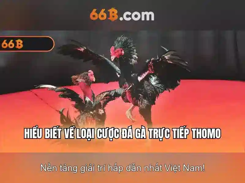 66b: Mô hình ngôn ngữ 66 tỷ tham số và tương lai của AI