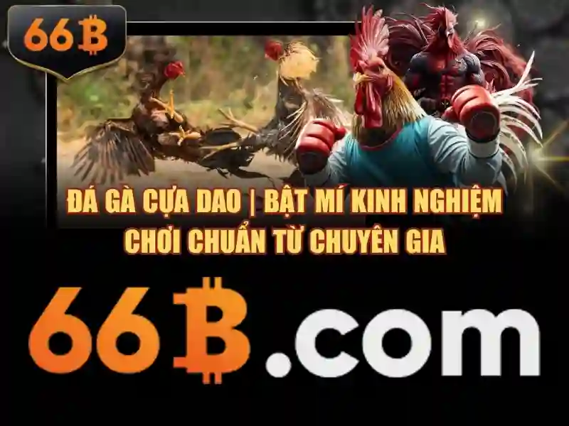 66B: Mô hình ngôn ngữ lớn 66 tỷ và tiềm năng của nó
