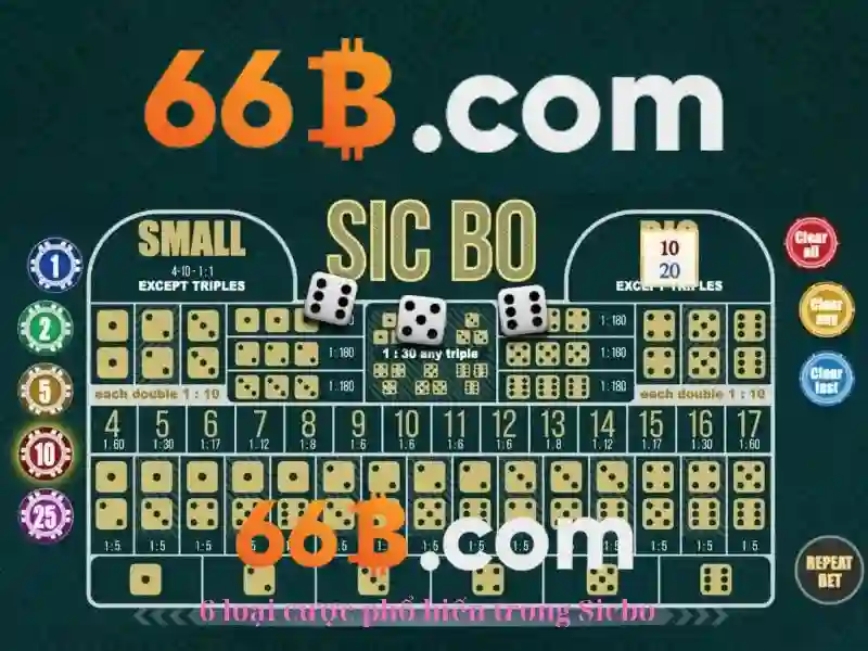 66B và chúng ta: một cái nhìn tổng quan