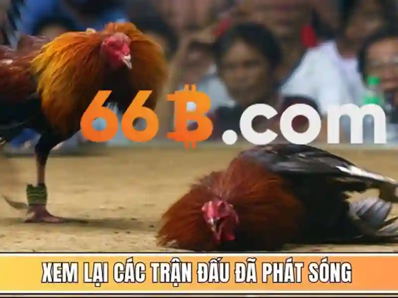 Giao diện trang chủ sảnh xổ số 66b với thiết kế hiện đại